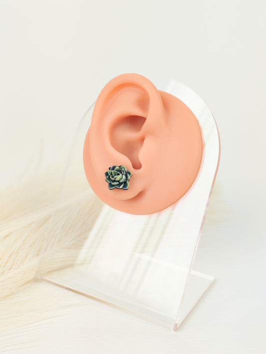 Orecchini a lobo succulent