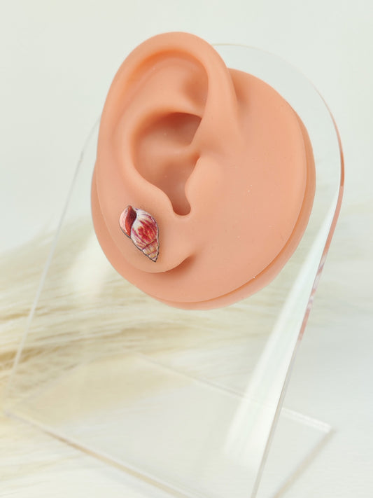 Orecchini a lobo conchiglie