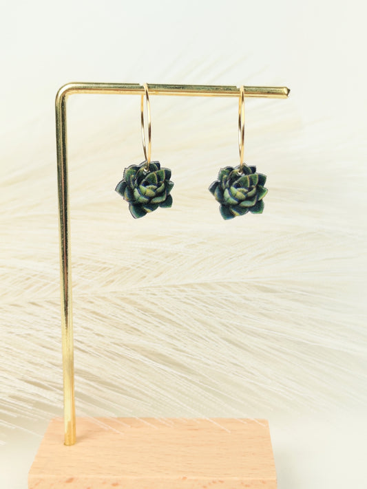 Orecchini a cerchio pianta grassa